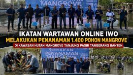 Pengurus Ikatan Wartawan Online (IWO) bersama peserta melakukan penanaman 1.400 pohon mangrove di Hutan Mangrove Tanjung Pasir, Kabupaten Tangerang, Banten.