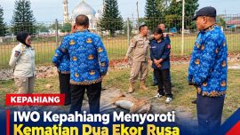 IWO Kepahiang menyoroti kematian dua ekor rusa di kawasan perkantoran Bupati Kepahiang