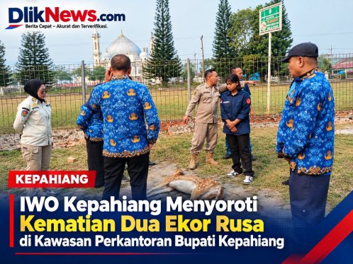 IWO Kepahiang menyoroti kematian dua ekor rusa di kawasan perkantoran Bupati Kepahiang